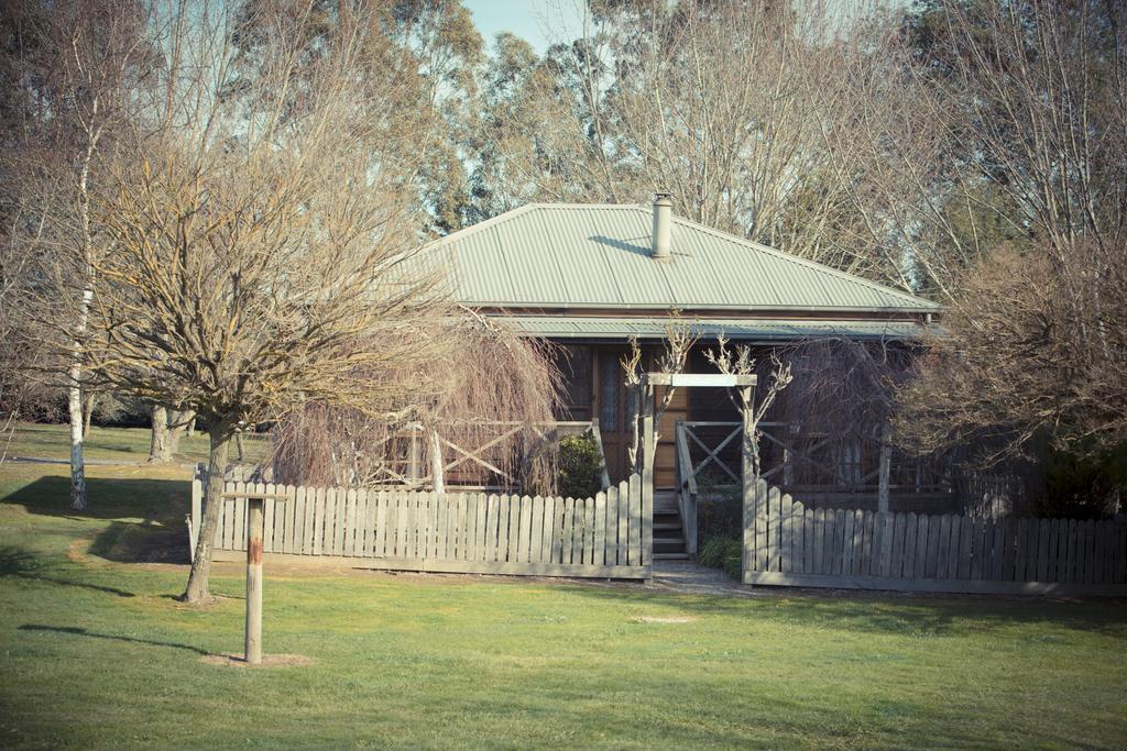 Sanctuary Park cabañas Villa Healesville Exterior foto